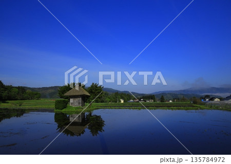 水田に映り込む朝日 水田に映り込む朝日 135784972