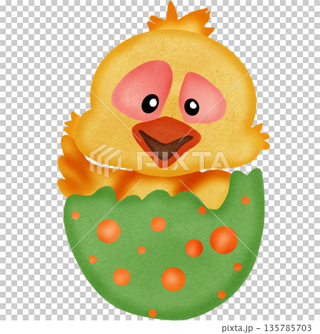 Egg easter Egg easter 135785703