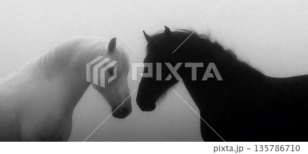 Black and white horses connecting in a...のイラスト素材 [135786710] - PIXTA