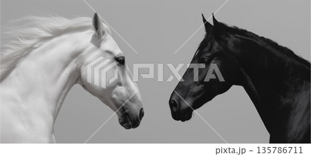 Black and white horses connecting in a...のイラスト素材 [135786711] - PIXTA