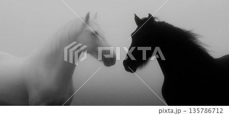 Black and white horses connecting in a minimalist concept. Two horses, one white and one black, facing each other on a misty light background 135786712
