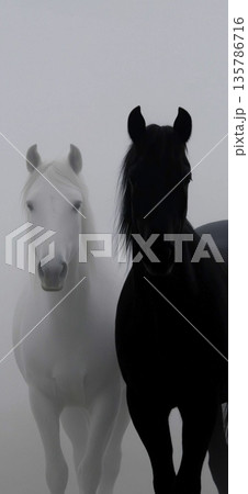 Black and white horses connecting in a minimalist concept. Two horses, one white and one black, facing each other on a misty light background 135786716