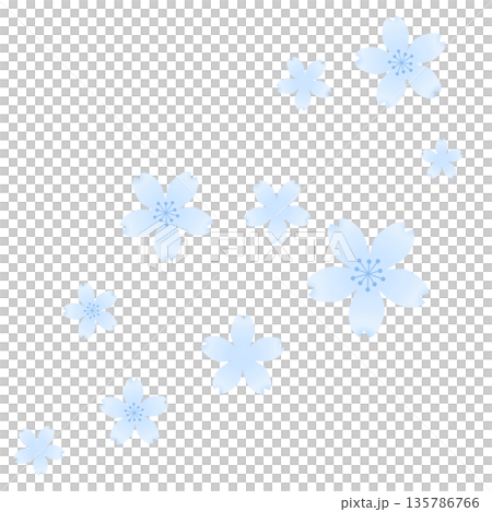 淺藍色簡約櫻花圖案 135786766