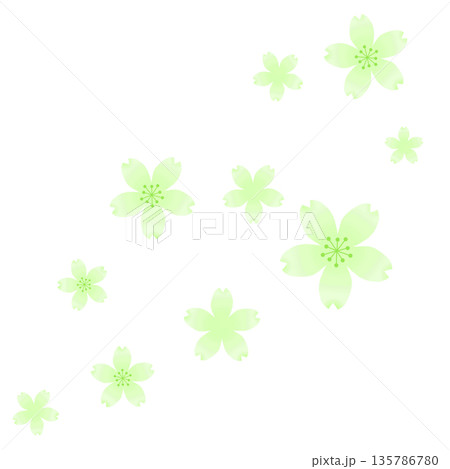 黄緑色のシンプルな桜の素材 135786780