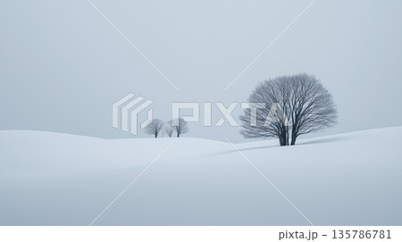 Winter landscape with single tree and snow-covered field. Minimalist winter scene showing bare trees in snow and empty sky creating solitude 135786781