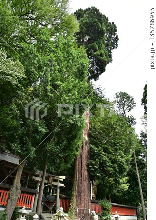 還来神社 135786955