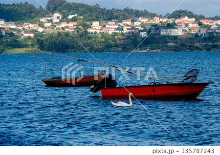 A red boat with a swan on it is floating in the water A red boat with a swan on it is floating in the water 135787243