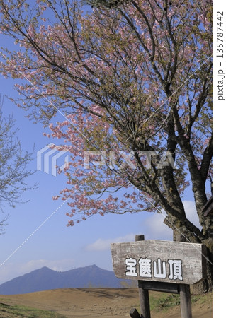 快晴の青空の下、満開の八重桜に彩られた、春の茨城県の宝篋山（ほうきょうさん）の頂上の風景 135787442