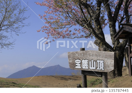 快晴の青空の下、満開の八重桜に彩られた、春の茨城県の宝篋山（ほうきょうさん）の頂上の風景 135787445