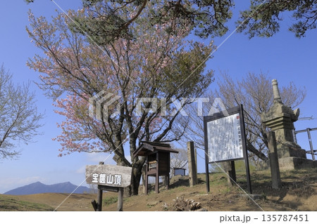 快晴の青空の下、満開の八重桜に彩られた、春の茨城県の宝篋山（ほうきょうさん）の頂上の風景 135787451