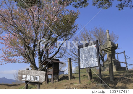 快晴の青空の下、満開の八重桜に彩られた、春の茨城県の宝篋山(ほうきょうさん)の頂上の風景 快晴の青空の下、満開の八重桜に彩られた、春の茨城県の宝篋山(ほうきょうさん)の頂上の風景 135787454