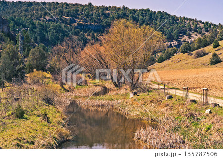 ranch,plain,animals,bull,mammal,calf,livestock,bovine,cow,herd,cattle,portrait,breed,dairy,pasture,white,young,ruminant,wildlife,black,grazing,milk,domestic,outdoors,sky,farming,meadow,beef,husbandry, 135787506