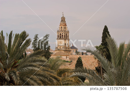 A tall tower with a clock on top stands in front of a lush green forest A tall tower with a clock on top stands in front of a lush green forest 135787508