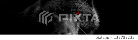 Dark formidable wolf with piercing red eyes. Dark wolf with red glowing eyes emerging from shadows, representing danger and mystery 135788233