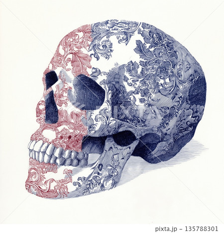 Ornate skull illustration with intricate blue and red floral patterns. Decorative human skull showing detailed blue and red scrollwork patterns on an off-white background 135788301