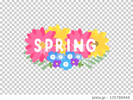 カラフルな花で描いたSPRINGのロゴイラスト カラフルな花で描いたSPRINGのロゴイラスト 135788448