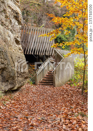 wooden bridge in nature wooden bridge in nature 135788500