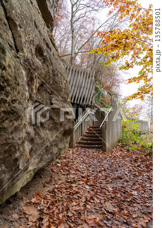 wooden bridge in nature wooden bridge in nature 135788501