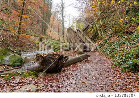 wooden bridge in nature wooden bridge in nature 135788507