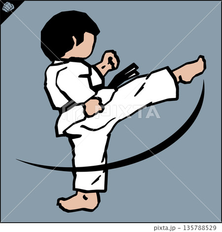 Karate high kick emblem. Martial art colored simbol design. Vector, EPS. 135788529