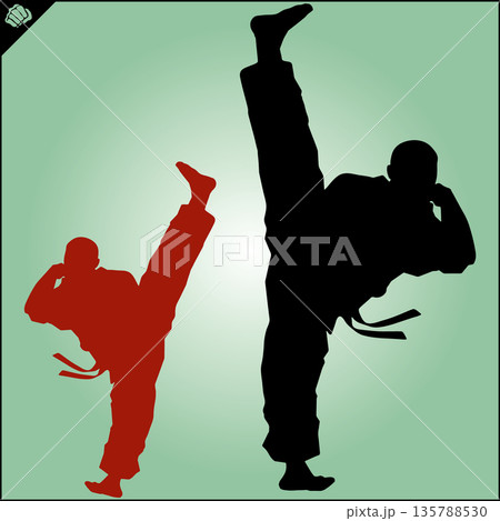 Martial art colored simbol design. Karate emblem. 135788530