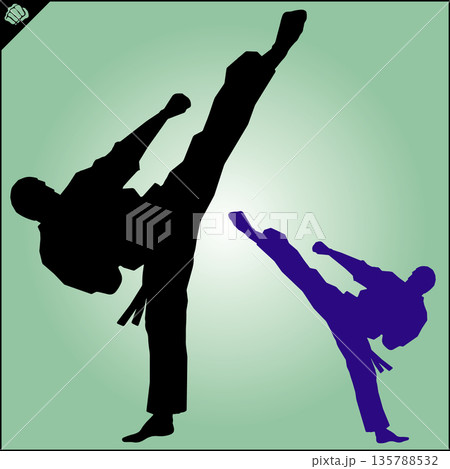 Martial art colored simbol design. Karate emblem. Martial art colored simbol design. Karate emblem. 135788532