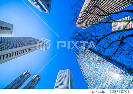 日本の東京都市景観　日本経済の憂鬱…新宿のオフィス街などを望む。耀きを求めて＝令和8年1月25日 135788701