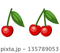 葉つきの新鮮な赤いさくらんぼのベクターイラストのセット 135789053