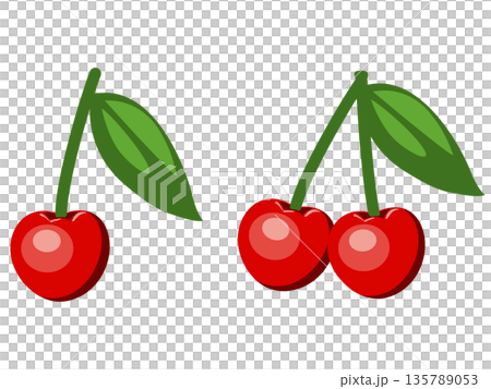 葉つきの新鮮な赤いさくらんぼのベクターイラストのセット 葉つきの新鮮な赤いさくらんぼのベクターイラストのセット 135789053