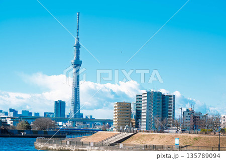 中川遊歩道から望む、スカイツリー 135789094