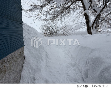 雪が積もっている冬の家　風景　田舎　秋田県 135789108