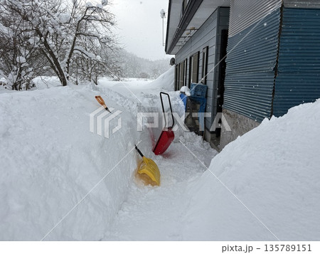雪が積もっている冬の家　風景　田舎　秋田県 135789151