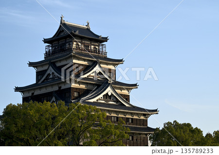 広島城<2026年1月> 135789233