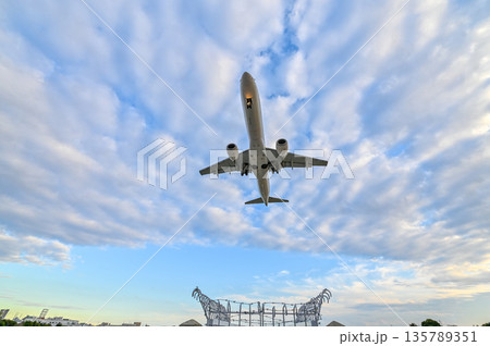 【大阪・豊中】伊丹空港で離着陸する飛行機。とてもかっこよく、いつ見てもワクワクどきどきします。 135789351
