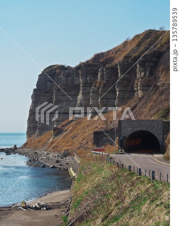 春の北海道爾志郡乙部町　館の岬駐車場からグランドキャニオンと言われる断崖を臨む 135789539