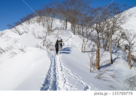 厳冬期の谷川岳・天神尾根を歩く登山者の姿（雪山登山） 135789779
