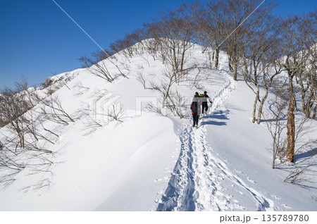 厳冬期の谷川岳・天神尾根を歩く登山者の姿(雪山登山) 厳冬期の谷川岳・天神尾根を歩く登山者の姿(雪山登山) 135789780