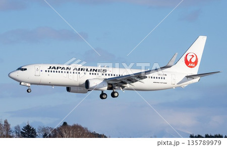JAL JA737-800福岡空港着陸 JAL JA737-800福岡空港着陸 135789979