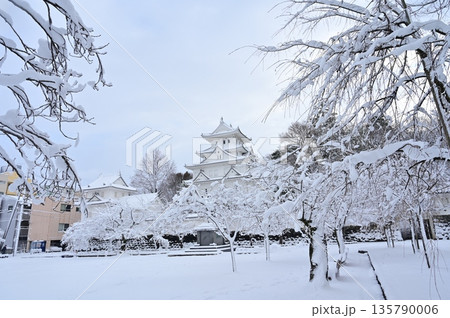 天守閣と冠雪した桜（大垣城） 135790006