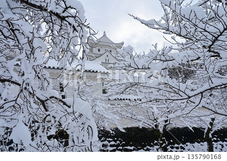 天守閣と冠雪した桜(大垣城) 天守閣と冠雪した桜(大垣城) 135790168