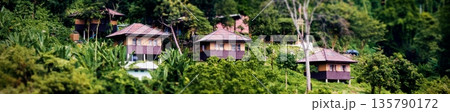 Wooden huts in the jungle. Lush tropical rainforest with wooden houses. 135790172
