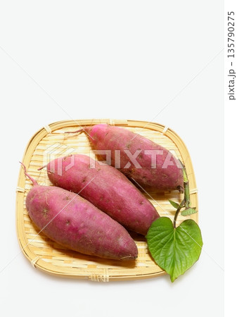 採れたてのサツマイモ（紅はるか・縦構図） 135790275