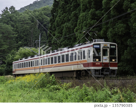 野岩鉄道6050型 135790385