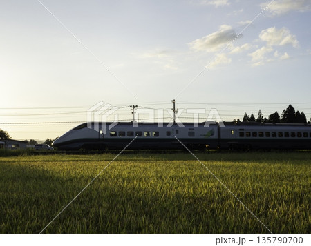 山形新幹線つばさ 山形新幹線つばさ 135790700