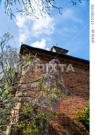 青い空の明るい日差しの下の歴史的な赤レンガの建物と藤の花　ロンドン郊外のイーストコート・ハウスにて 135790709