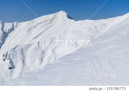 冬の谷川岳天神尾根から見る主稜線の雪景色 135790773