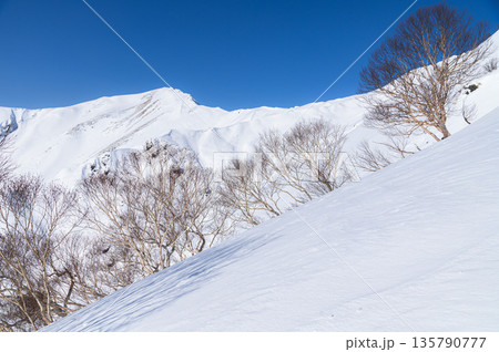 冬の谷川岳天神尾根から見る主稜線の雪景色 135790777