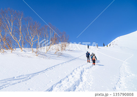 厳冬期谷川岳・天神尾根を登る登山者の姿 135790808