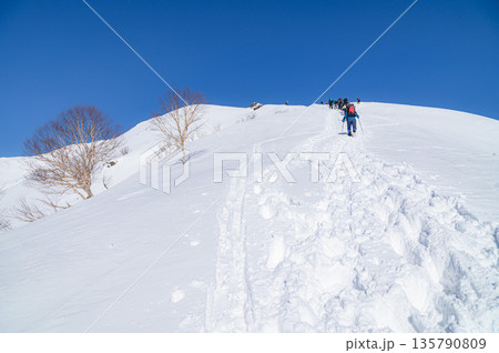 厳冬期谷川岳・天神尾根を登る登山者の姿 135790809
