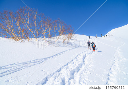 厳冬期谷川岳・天神尾根を登る登山者の姿 135790811